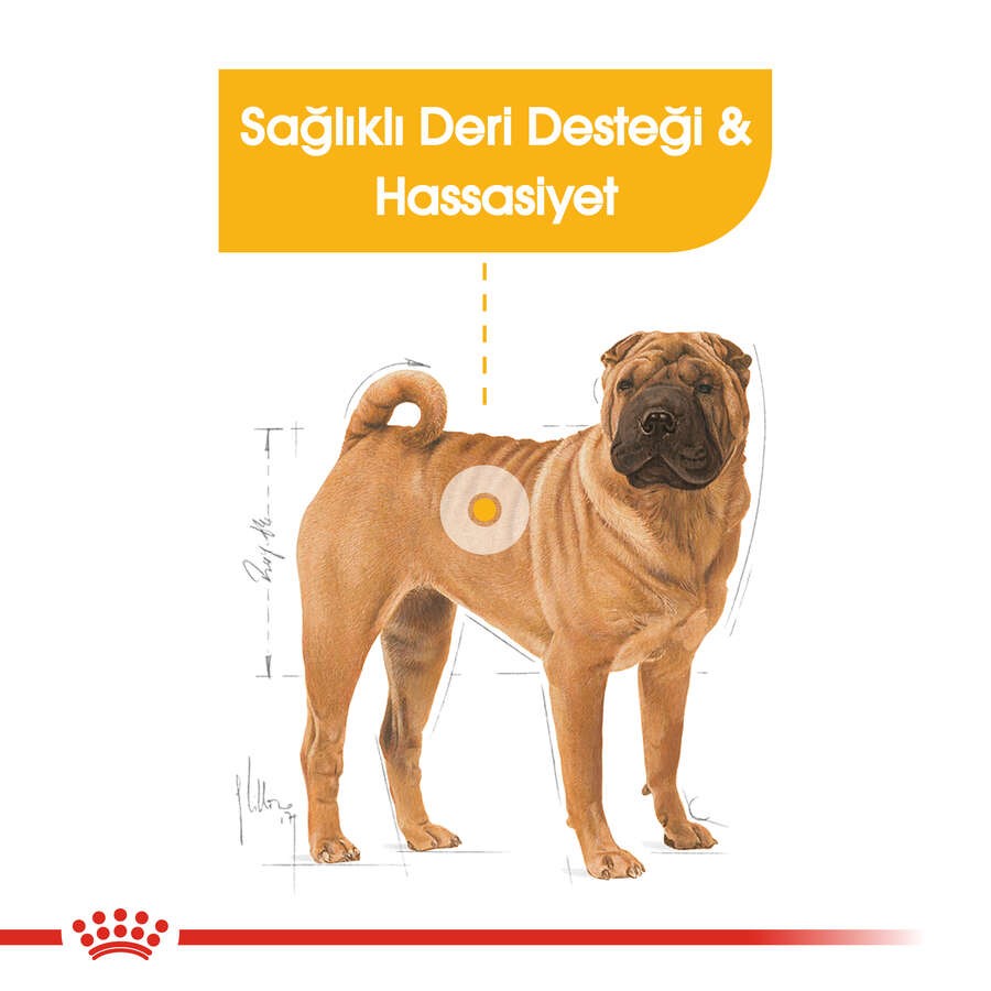Royal Canin Medium Dermacomfort Deri Sağlığı İçin Yetişkin Köpek Maması, 12 Kg