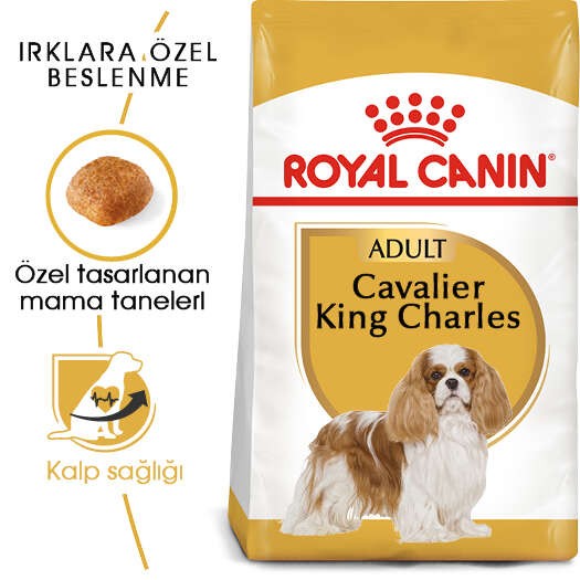 Royal Canin Cavalier King Charles Adult Yetişkin Köpek Maması, 3 Kg