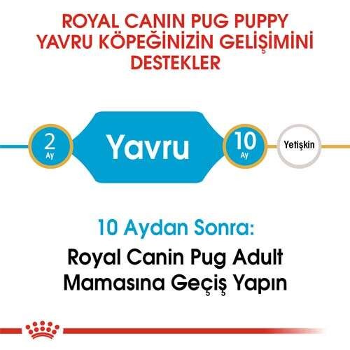 Royal Canin Pug Puppy Yavru Köpek Maması, 1,5 Kg