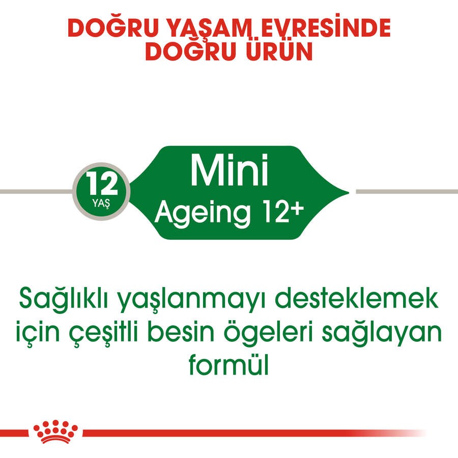 Royal Canin Mini Ageing Yaşlı Köpek Yaş Maması, 85 gr x 12 Adet