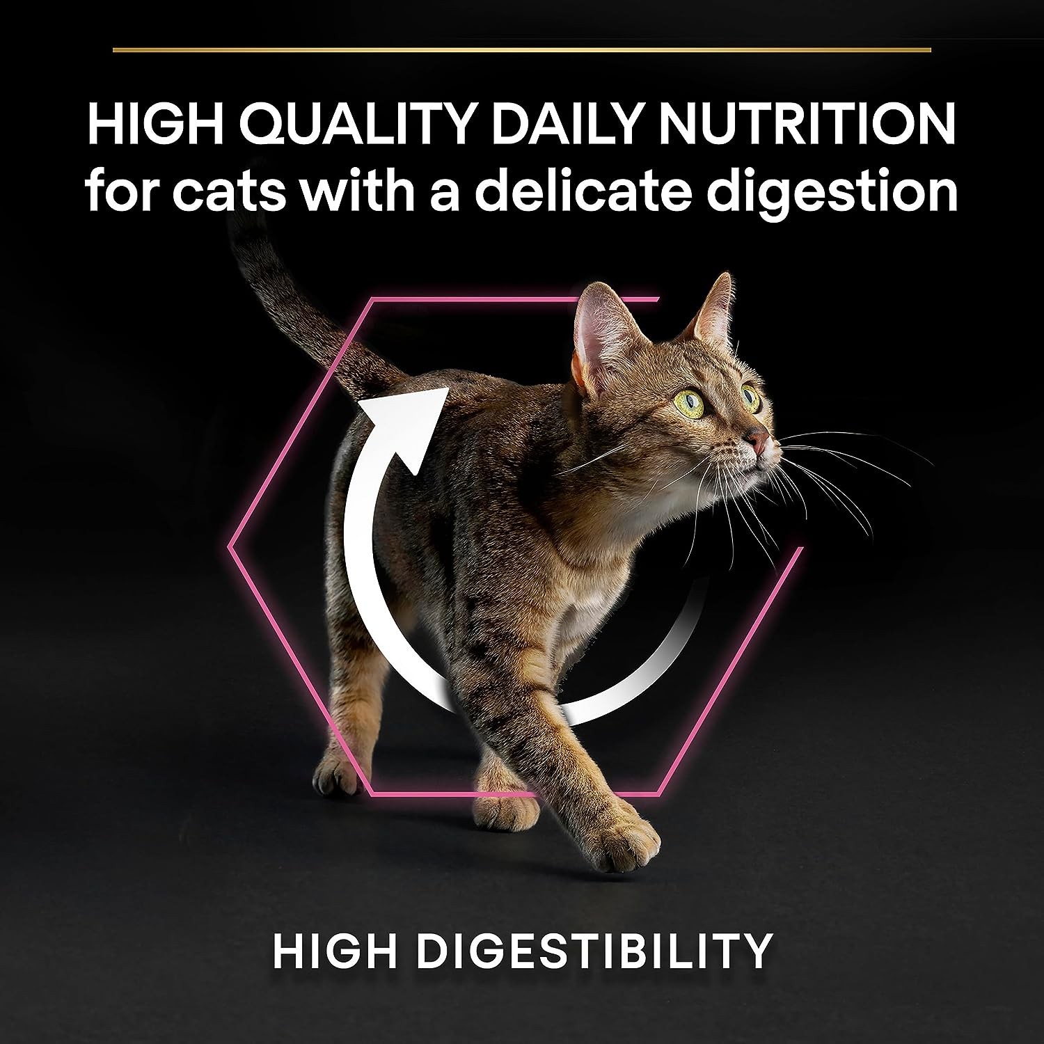 Pro Plan Delicate Turkey, Hindili Yetişkin Kedi Kuru Maması 3 Kg