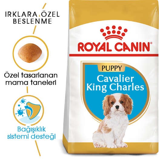 Royal Canin Cavalier King Charles Puppy Yavru Köpek Maması, 1,5 Kg