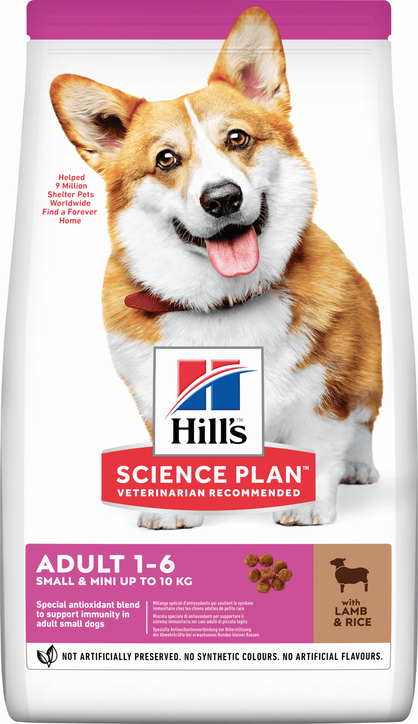 Hill's Adult 1-6 Small & Mini Lamb & Rice, Kuzulu ve Pirinçli Küçük Irk Yetişkin Köpek Maması 1,5 Kg