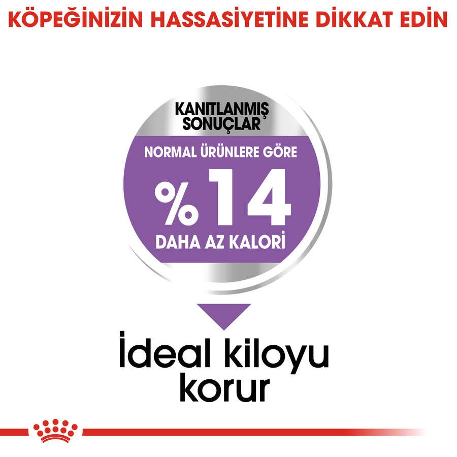 Royal Canin Mini Sterilised Kısırlaştırılmış Köpek Maması, 3 Kg