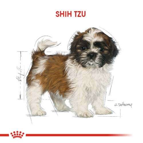 Royal Canin Shih Tzu Puppy Yavru Köpek Maması, 1,5 Kg