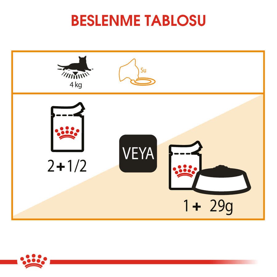 Royal Canin Intense Beauty Jelly Pouch Kedi Yaş Maması, 85 G x 12 Adet