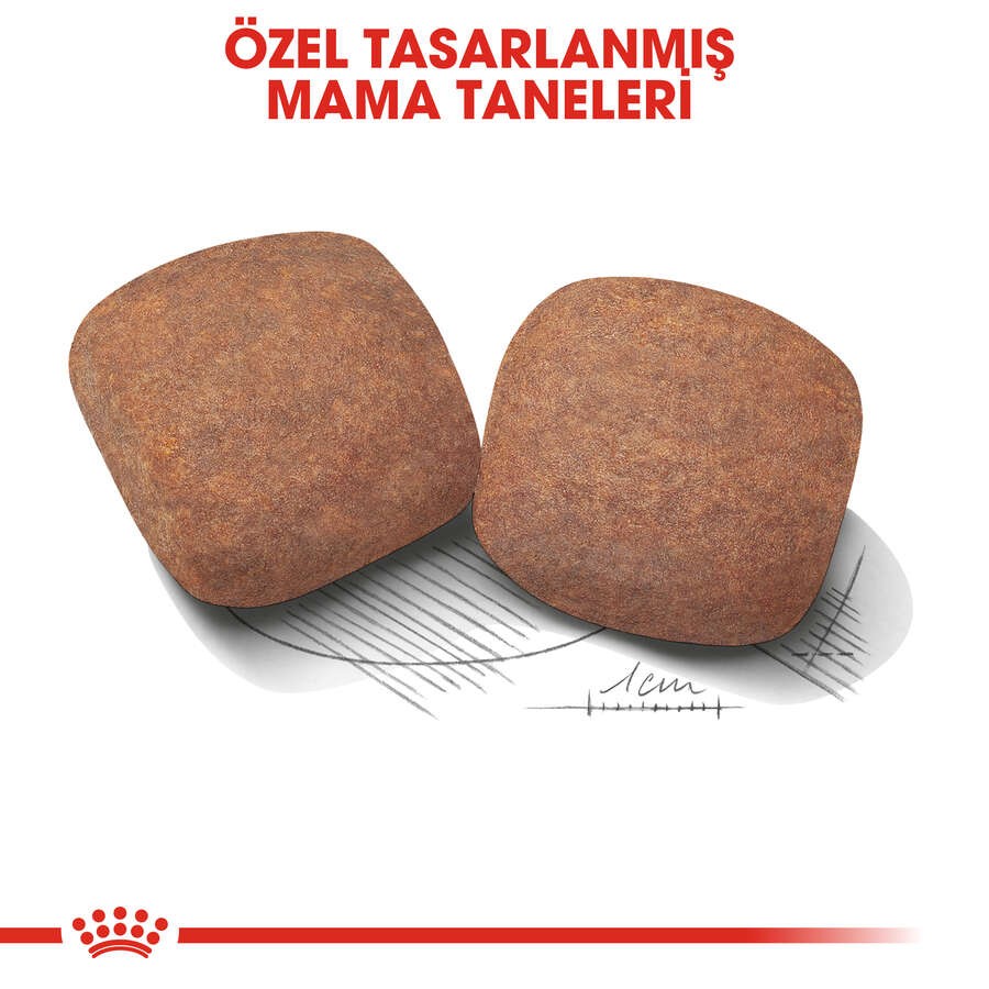 Royal Canin Giant Adult Yetişkin Köpek Maması, 15 Kg