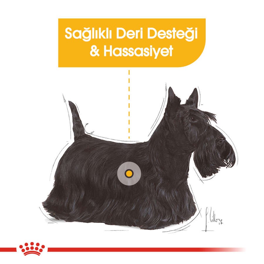 Royal Canin Dermacomfort Loaf Pouch Köpek Yaş Maması, 85 G x 12 Adet