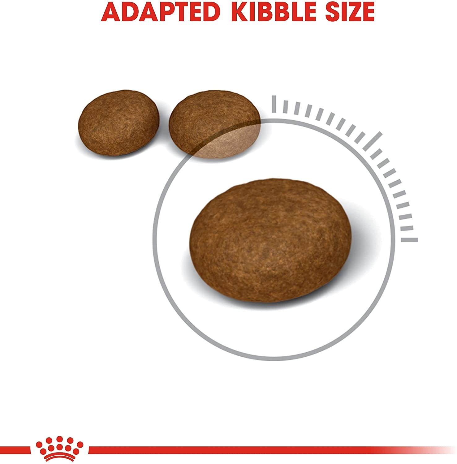 Royal Canin Hair & Skin Care Kedi Maması, 4 Kg