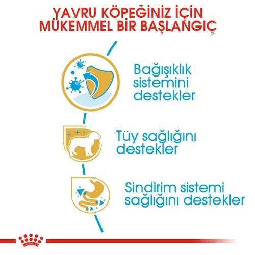 Royal Canin Poodle Puppy Yavru Köpek Maması, 3 Kg