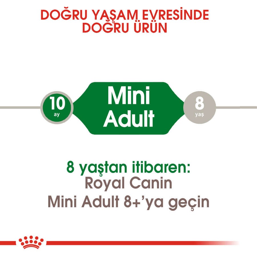 Royal Canin Mini Adult Yetişkin Köpek Maması, 8 Kg