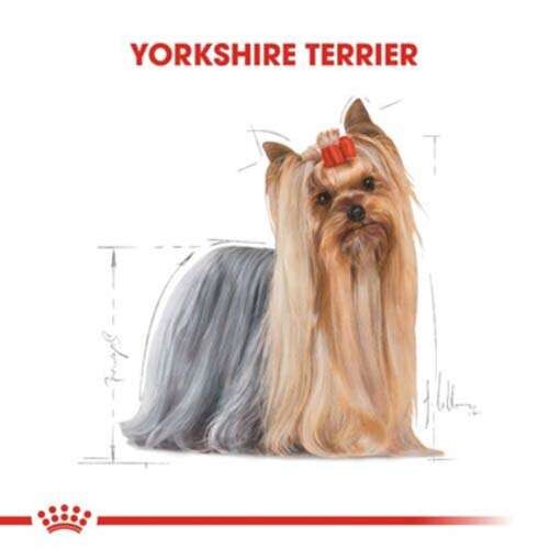 Royal Canin Yorkshire Terrier Loaf Pouch Köpek Yaş Maması, 85 G x 12 Adet