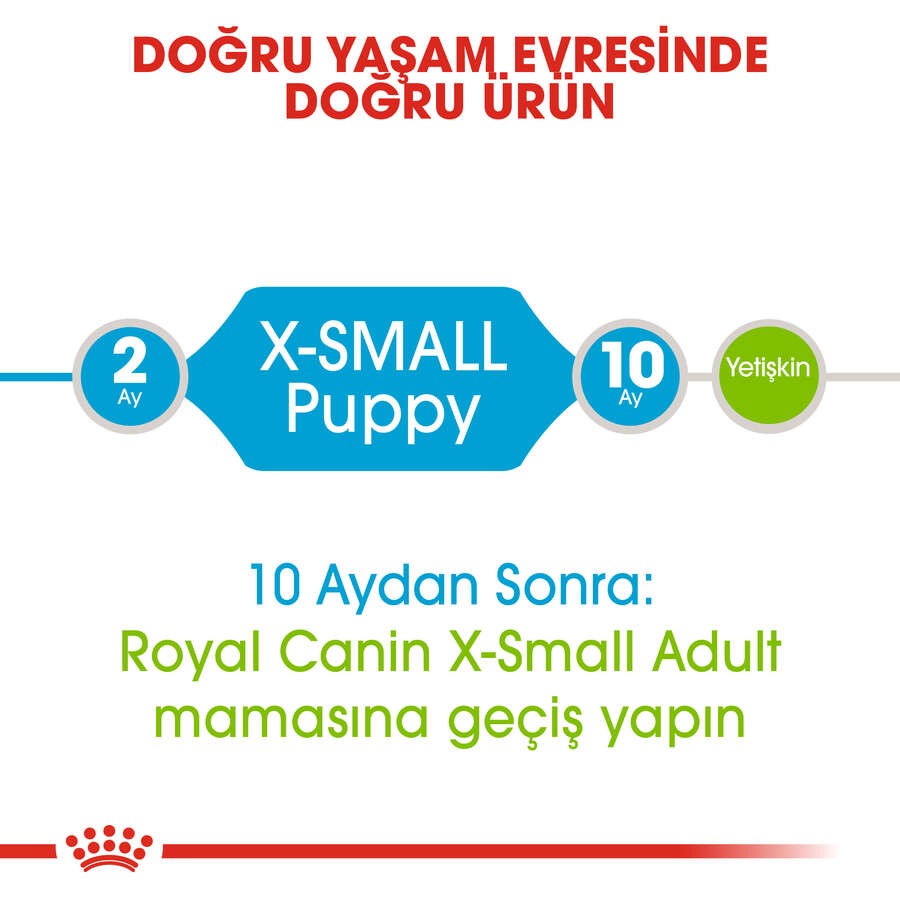 Royal Canin X-Small Puppy Yavru Köpek Maması, 3 Kg