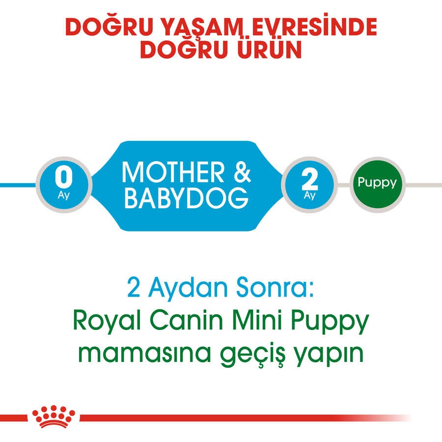 Royal Canin Mini Starter Mother & Babydog Küçük Irk Anne ve Yavru Köpek Maması, 4 Kg