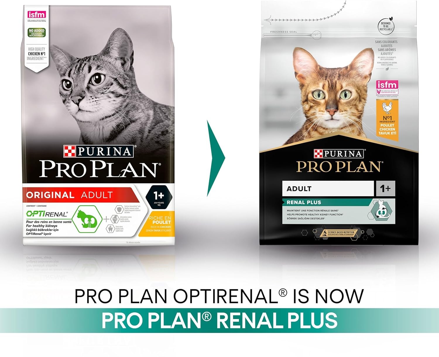 Pro Plan Original Adult Chicken, Tavuklu Yetişkin Kedi Kuru Maması 1,5 Kg