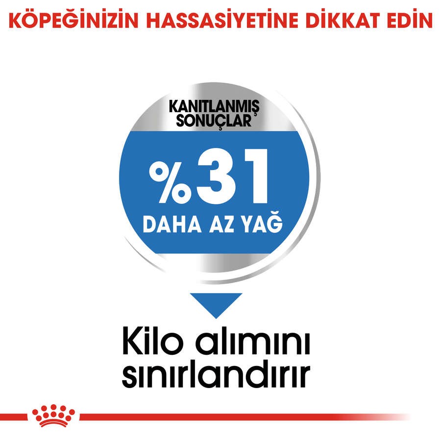 Royal Canin Mini Light Diyet Yetişkin Köpek Maması, 3 Kg