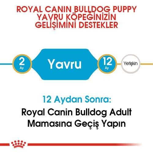 Royal Canin French Bulldog Puppy Yavru Köpek Maması, 3 Kg