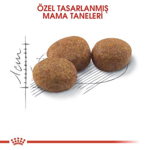 Royal Canin Sterilised 37 Kısırlaştırılmış Kedi Maması, 400 G