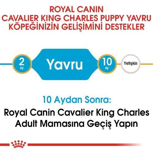 Royal Canin Cavalier King Charles Puppy Yavru Köpek Maması, 1,5 Kg