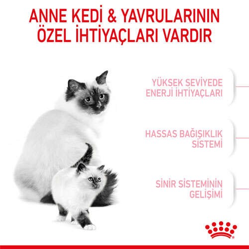 Royal Canin Mother & Babycat Anne ve Yavru Kedi Maması, 400 G