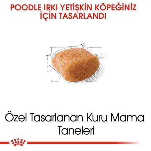 Royal Canin Poodle Adult Yetişkin Köpek Maması, 3 Kg