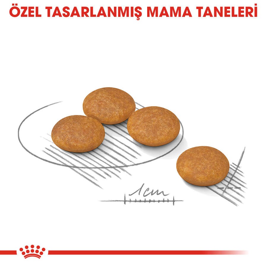Royal Canin Mini Dermacomfort Deri Sağlığı İçin Yetişkin Köpek Maması, 3 Kg