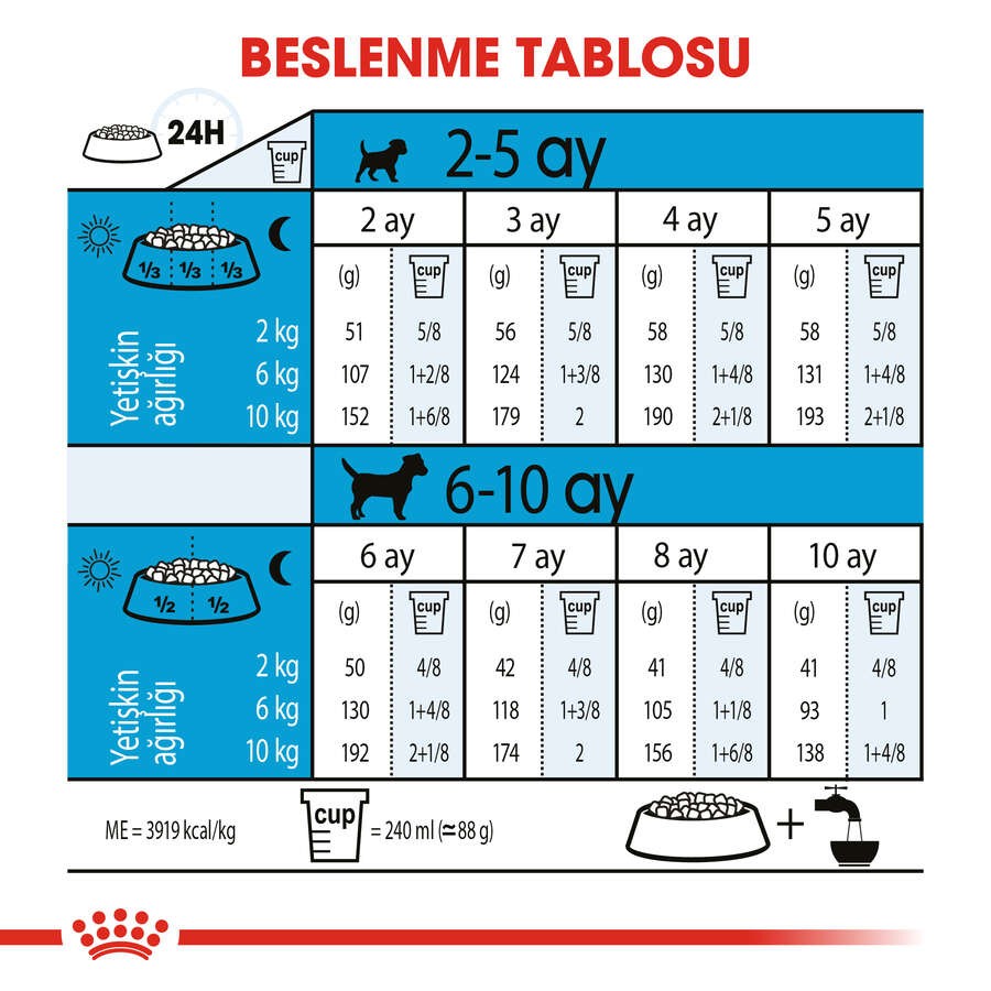 Royal Canin Mini Indoor Puppy Yavru Köpek Maması, 1,5 Kg