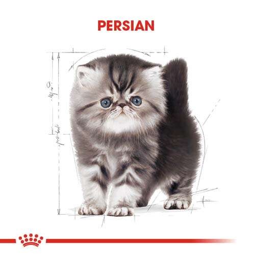 Royal Canin Persian Kitten Yavru Kedi Maması, 2 Kg