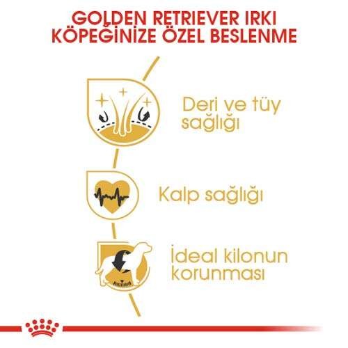 Royal Canin Golden Retriever Adult Yetişkin Köpek Maması, 12 Kg