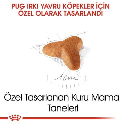 Royal Canin Pug Puppy Yavru Köpek Maması, 1,5 Kg