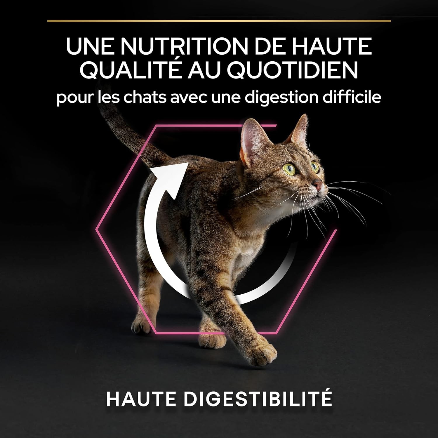 Pro Plan Delicate Turkey, Hindili Yetişkin Kedi Kuru Maması 1,5 Kg