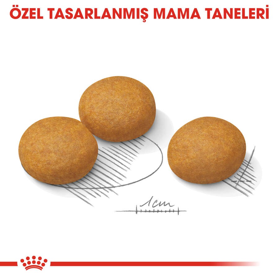 Royal Canin Medium Dermacomfort Deri Sağlığı İçin Yetişkin Köpek Maması, 12 Kg
