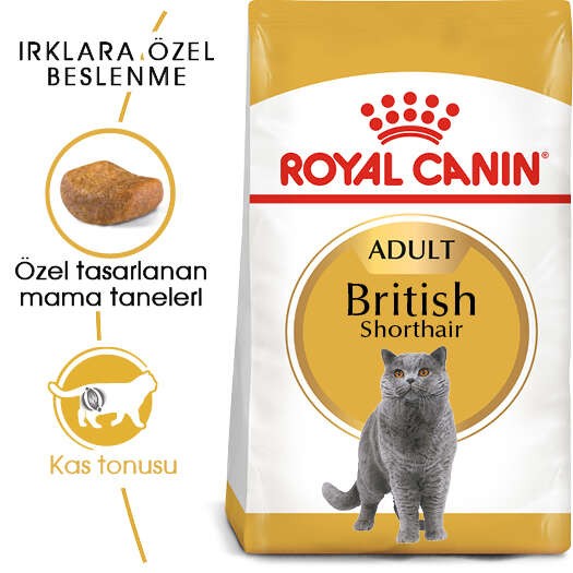 Royal Canin British Shorthair Adult Yetişkin Kedi Maması, 2 Kg