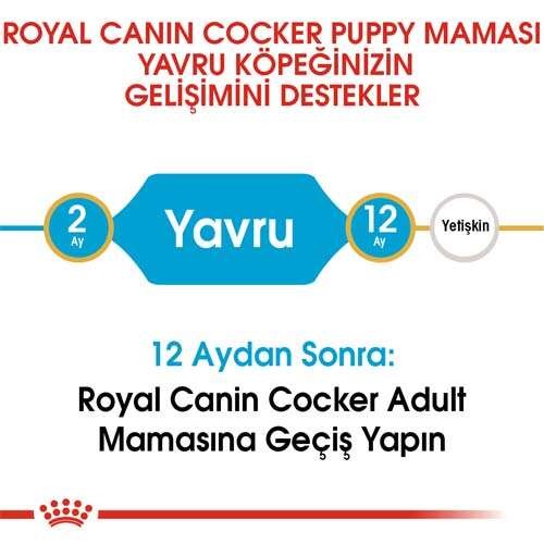 Royal Canin Cocker Puppy Yavru Köpek Maması, 3 Kg