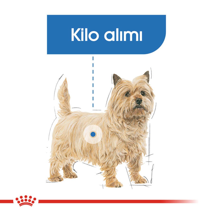 Royal Canin Mini Light Diyet Yetişkin Köpek Maması, 3 Kg