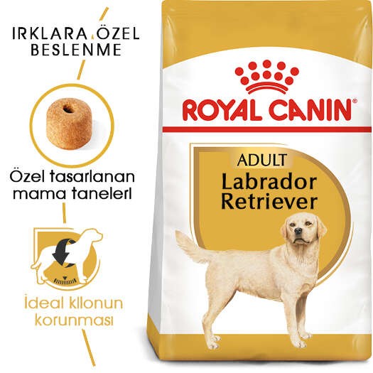 Royal Canin Labrador Retriever Adult Yetişkin Köpek Maması, 12 Kg