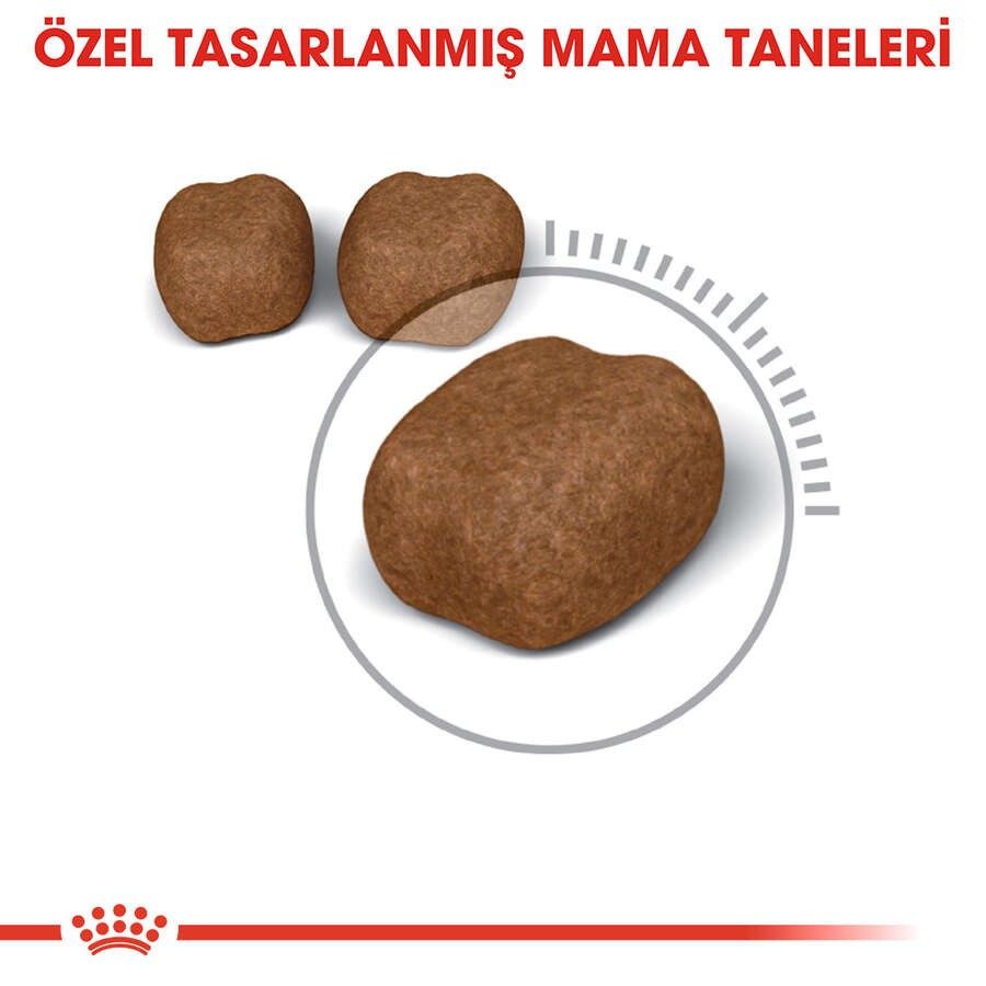 Royal Canin Oral Care Yetişkin Kedi Maması, 1,5 Kg