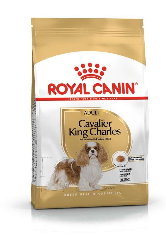 Royal Canin Cavalier King Charles Adult Yetişkin Köpek Maması, 3 Kg