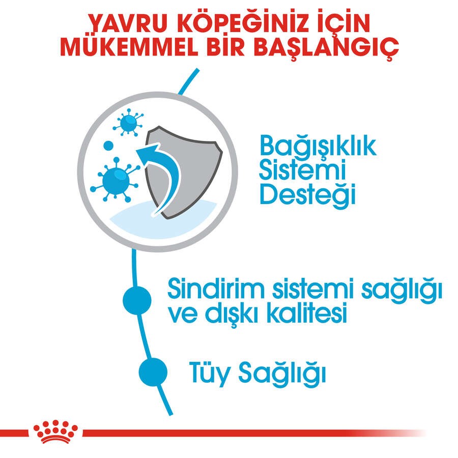 Royal Canin Mini Indoor Puppy Yavru Köpek Maması, 1,5 Kg