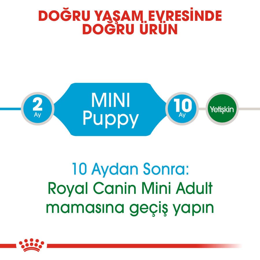 Royal Canin Mini Puppy Yavru Köpek Maması, 2 Kg