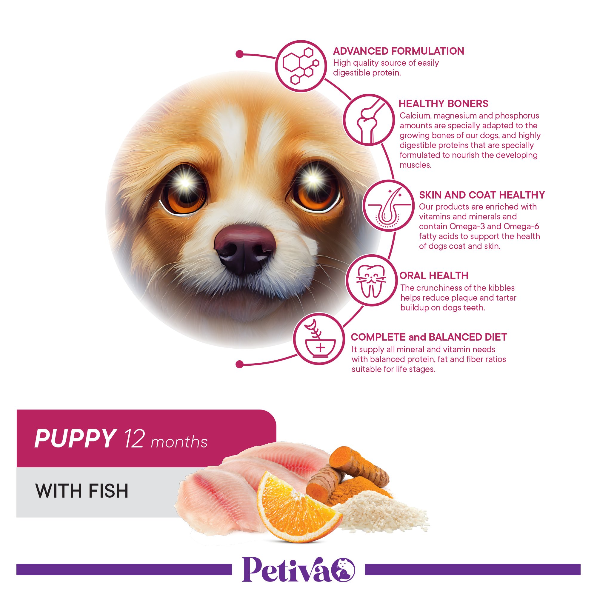 Petiva Yavru Köpekler İçin Balık Etli Kuru Köpek Maması 15 Kg