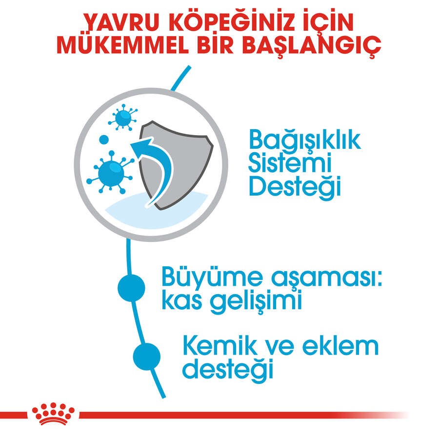 Royal Canin Giant Junior Yavru Köpek Maması, 15 Kg