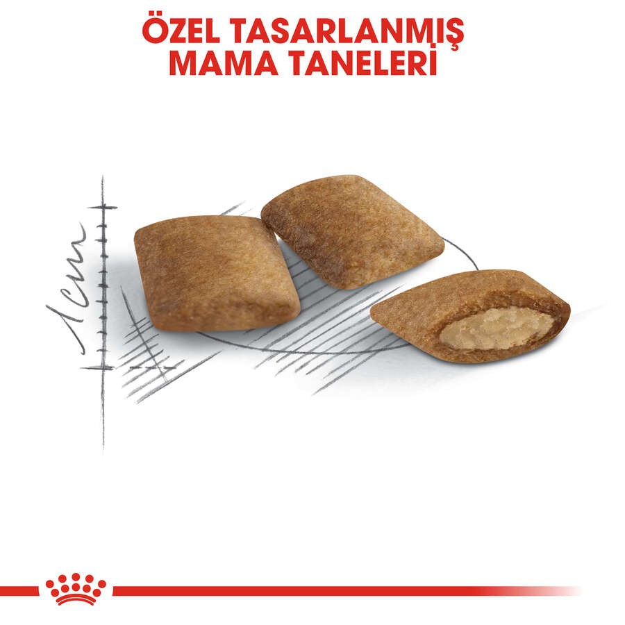 Royal Canin Ageing+12 Yaşlı Kedi Maması, 2 Kg