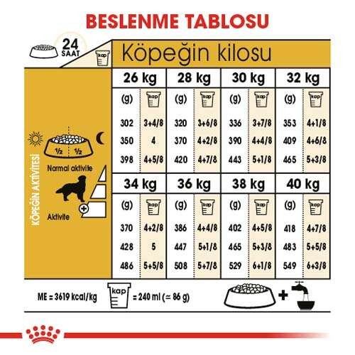 Royal Canin Golden Retriever Adult Yetişkin Köpek Maması, 12 Kg