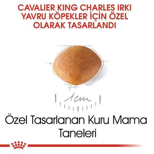 Royal Canin Cavalier King Charles Puppy Yavru Köpek Maması, 1,5 Kg