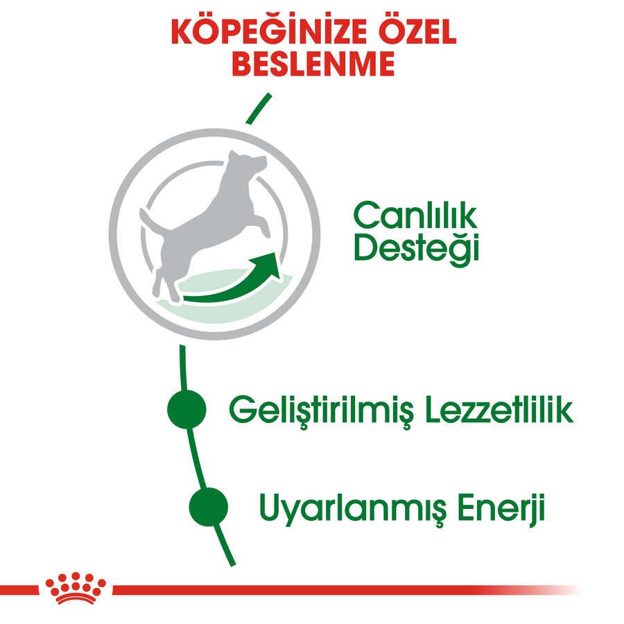 Royal Canin Mini Adult +8 Yaşlı Köpek Maması, 2 Kg