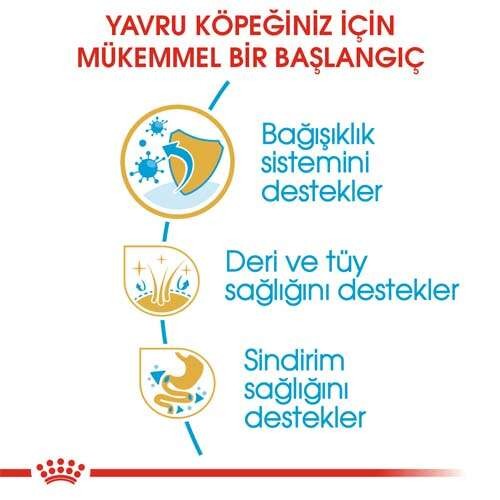 Royal Canin Cocker Puppy Yavru Köpek Maması, 3 Kg