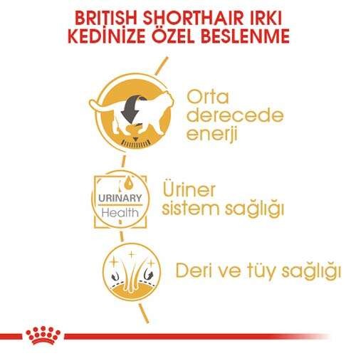 Royal Canin British Shorthair Pouch British Shorthair Kedilerine Özel Yaş Maması, 85 G x 12 Adet