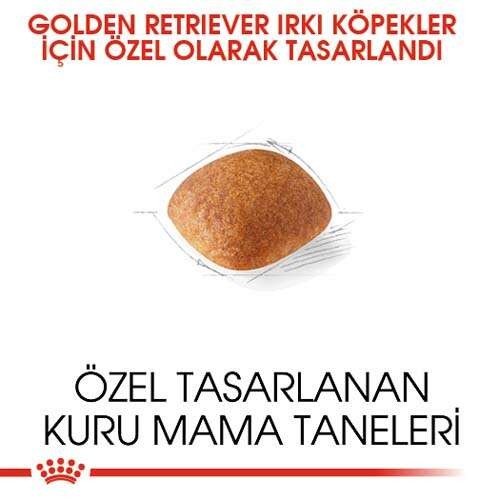 Royal Canin Golden Retriever Adult Yetişkin Köpek Maması, 12 Kg