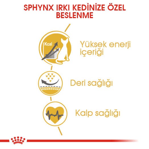 Royal Canin Sphynx Adult Yetişkin Kedi Maması, 2 Kg